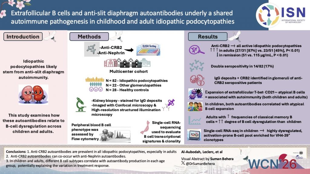 Extrafollicular B cells and anti-slit diaphragm autoantibodies underly a shared autoimmune pathogenesis in childhood and adult idiopathic podocytopathies