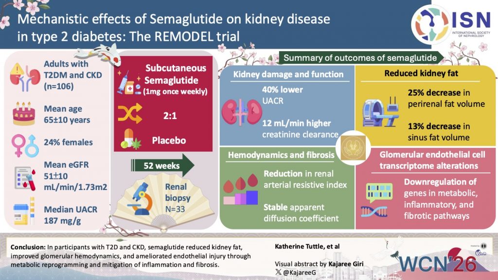 Mechanistic effects of Semaglutide on kidney disease in type 2 diabetes: The REMODEL trial