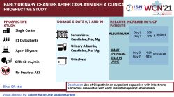 Early changes urinary after the use of cisplatin: clinical prospective study
