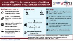 The role and sex differences of the mitochondrial protein sirt3 in the proximal tubules of the kidney in the development of angiotensin ii-induced hypertension