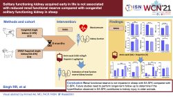 Solitary funcitoning kidney acquired early in life is not associated with reduced renal functional reserve compared with congenital solitary functioning kidney in sheep