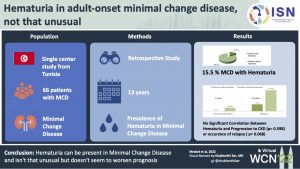 Hematuria in adult-onset minimal change disease, not that unusual