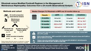 Rituximab versus modified Ponticelli regimen in the management of membranous nephropathy: Outcomes from a 24-month observational analysis
