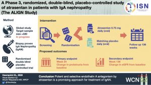 A Phase 3, Randomized, Double-Blind, Placebo-Controlled Study of Atrasentan in Patients with IgA Nephropathy (The ALIGN Study)