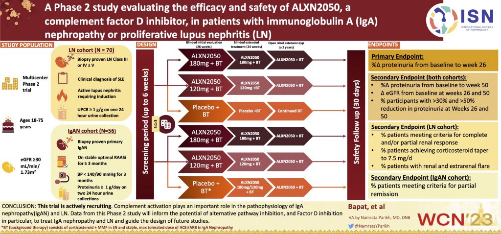 A Phase 2 Study Evaluating the Efficacy and Safety of Alxn2050, a Complement Factor D Inhibitor, in Immunoglobulin a Nephropathy or Proliferative Lupus Nephritis (LN)