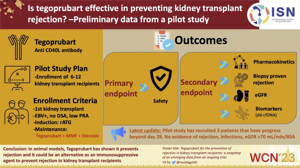 Tegoprubart for the Prevention of Rejection in Kidney Transplant Recipients: A Snapshot of Emerging Data From an Ongoing Trial