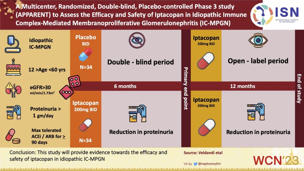 A Multicenter, Randomized, Double-blind, Placebo-controlled Phase 3 Study to Assess the Efficacy and Safety of Iptacopan in Idiopathic Immune Complex-mediated Membranoproliferative Glomerulonephritis (IC-MPGN)