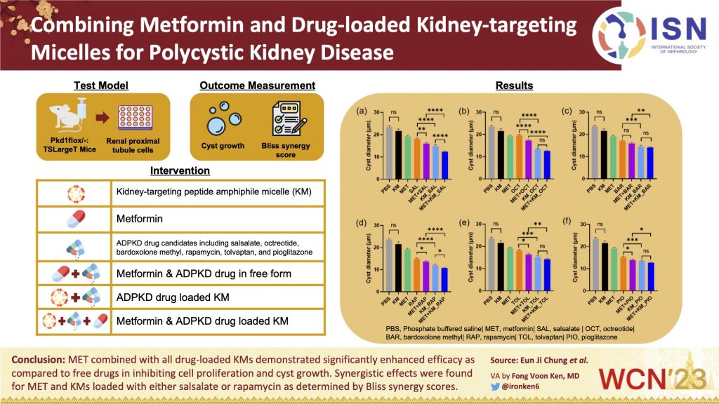 Combining Metformin and Drug-loaded Kidney-targeting Micelles for Polycystic Kidney Disease