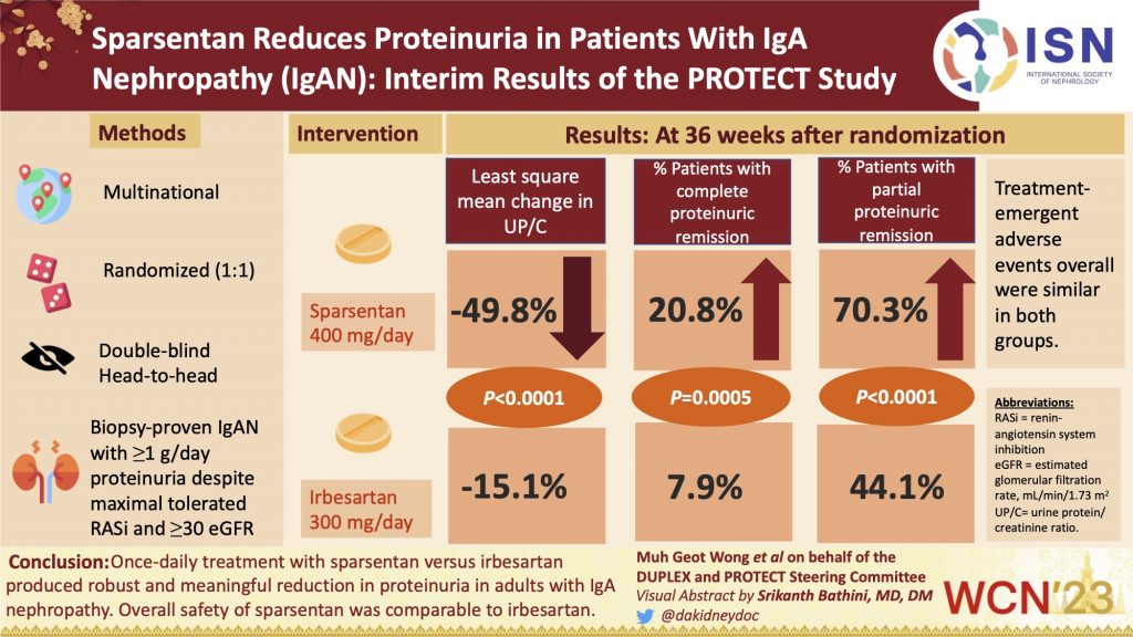 Sparsentan Reduces Proteinuria in Patients With Immunoglobulin a Nephropathy (IGAN): Interim Results of the PROTECT Study
