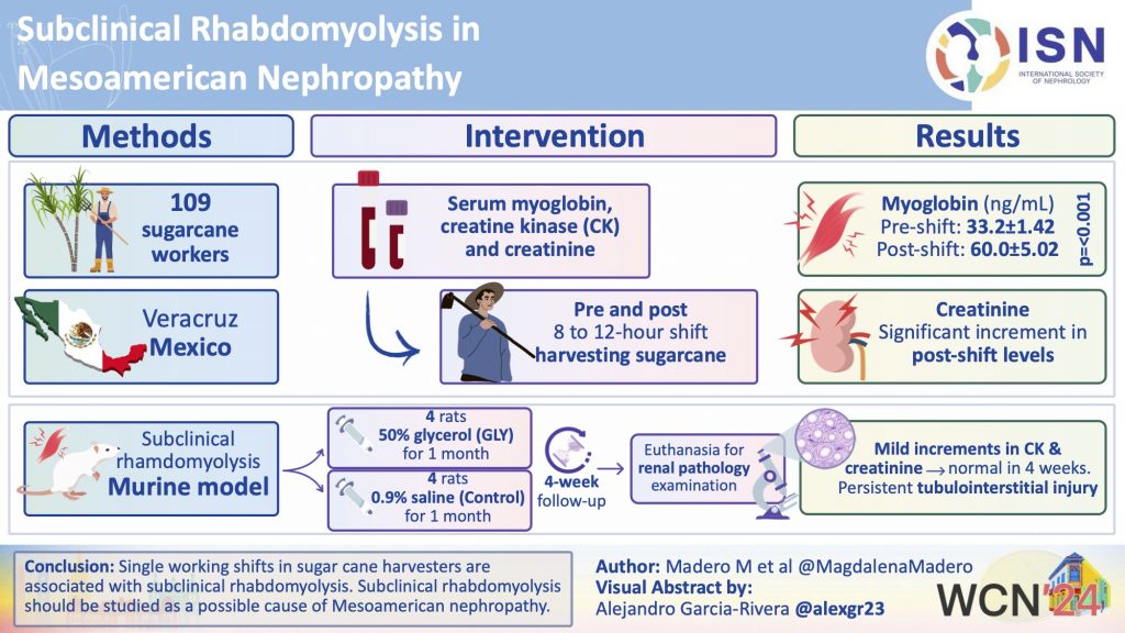 Subclinical Rhabdomyolysis in Mesoamerican Nephropathy