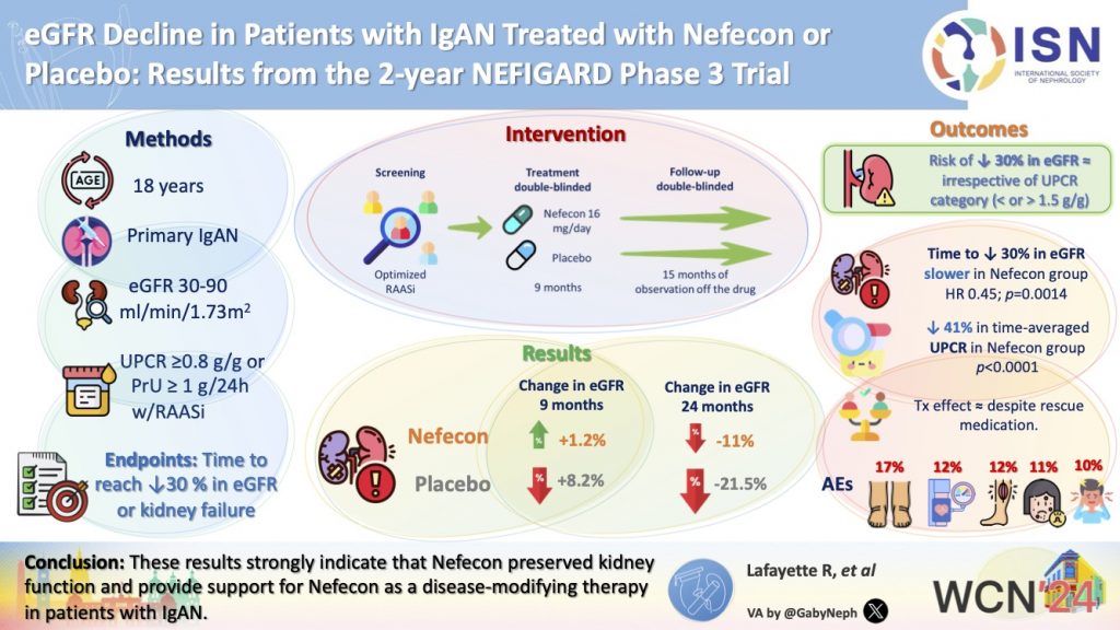 eGFR Decline in Patients with IgAN Treated with Nefecon or Placebo: Results from the 2-year NEFIGARD Phase 3 Trial