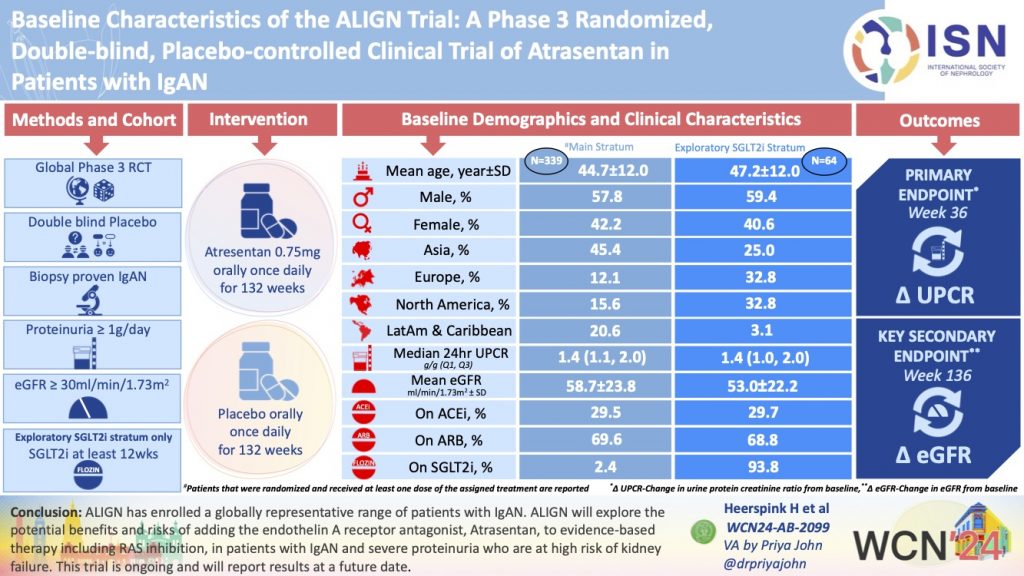 Baseline Characteristics of the ALIGN Trial: A Phase 3 Randomized, Double-blind, Placebo-controlled Clinical Trial of Atrasentan in Patients with IgAN