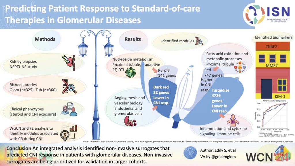 Predicting Patient Response to Standard-of-care Therapies in Glomerular Diseases