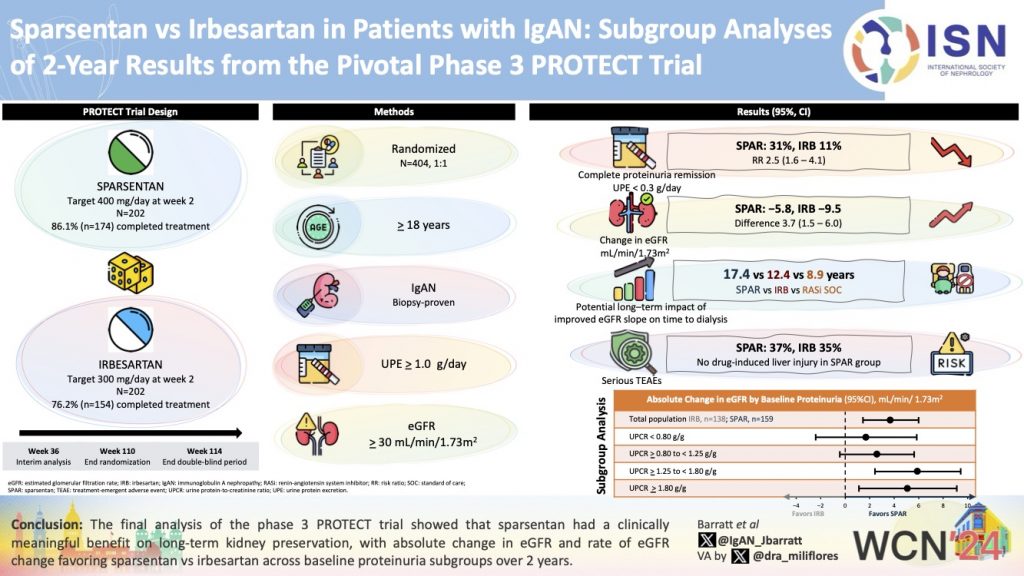 SPARSENTAN vs IRBESARTAN in Patients with Immunoglobulin a Nephropathy (IgAN): Subgroup Analyses of 2-year Results from the Pivotal Phase 3 PROTECT Trial