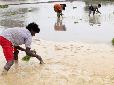 Learn about the ISN CKDu Observatory