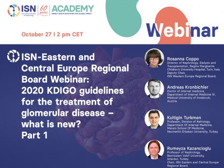 ISN Eastern and Central Europe Regional Board webinar