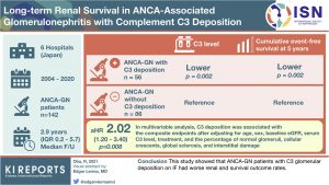 Long-term Renal Survival in ANCA-associated Glomerulonephritis with Complement C3 Deposition